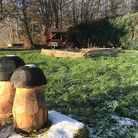 Gite Amelie, Sauna, Spa Au Coeur Des Vosges Housseras Exterior foto
