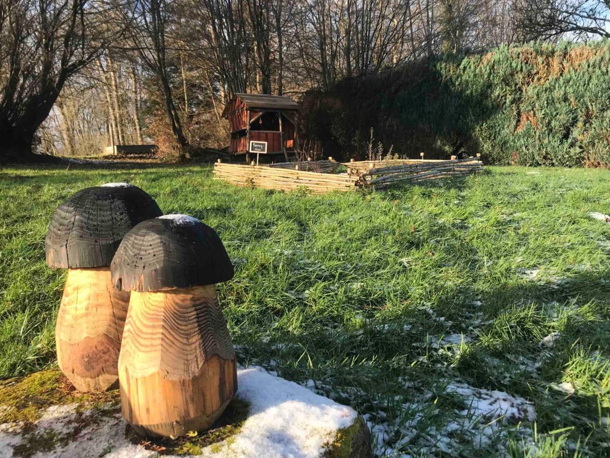 Gite Amelie, Sauna, Spa Au Coeur Des Vosges Housseras Exterior foto